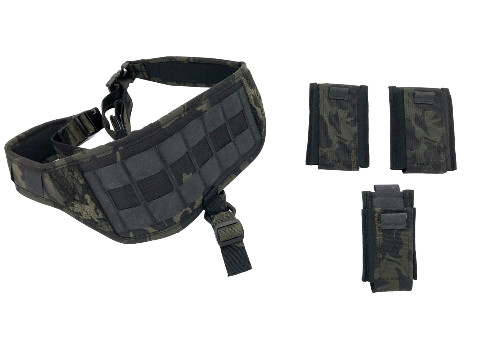 IC13 INVRT BANDOLEER Entry REALMENT