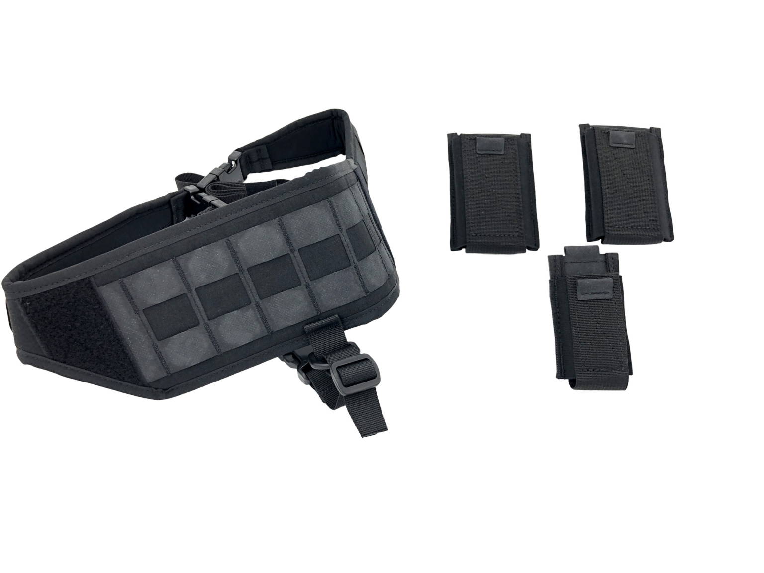 IC13 INVRT BANDOLEER Entry REALMENT